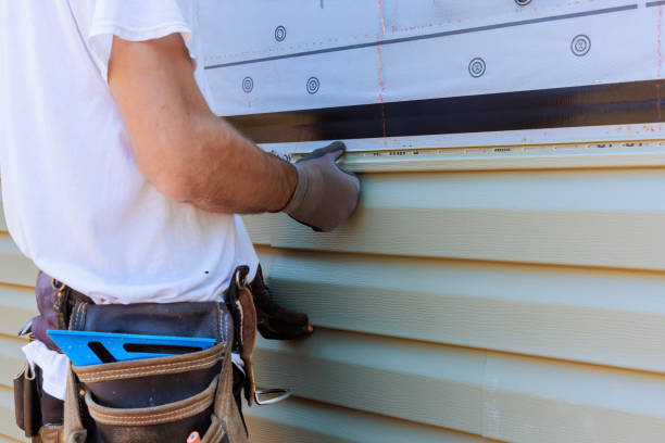 Affordable Siding Replacement solutions in Junction City, OH